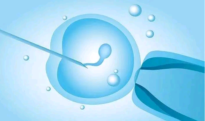 上海成功率最高的代孕机构,上海供卵试管婴儿包男是真的吗？供卵试管婴儿试