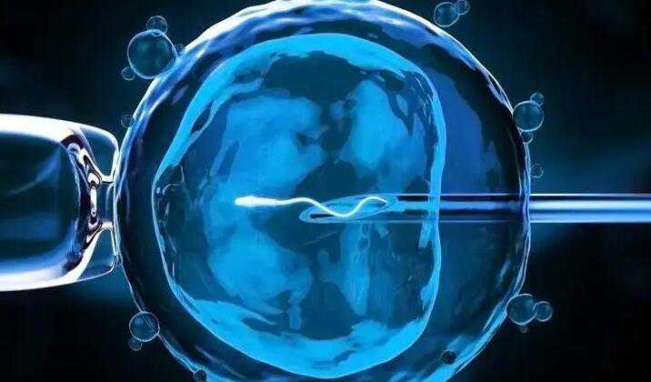 上海捐卵代怀孕价格 上海供卵试管包生男孩是真的吗? ‘孕囊1810是男孩女孩’