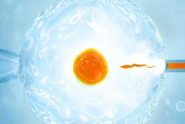 代怀成功率多高_代怀供卵包男孩_u7DfZ_31周3天频繁宫缩会造成胎儿缺氧影响发育